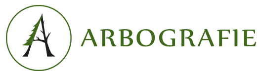 Arbografie